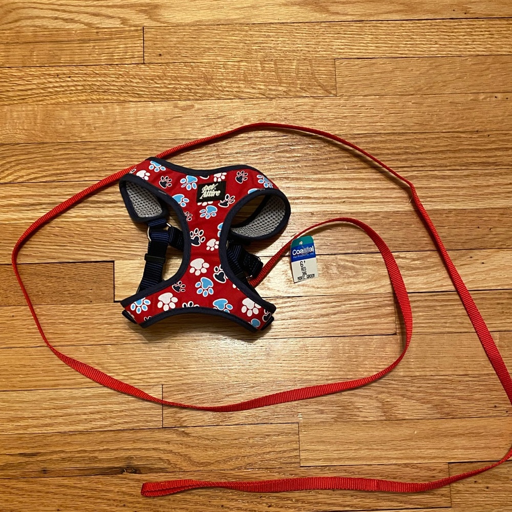 Dog Harness and matching nylon leash